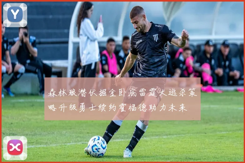 森林狼潜伏掘金卧底雷霆大逃杀策略升级勇士续约霍福德助力未来
